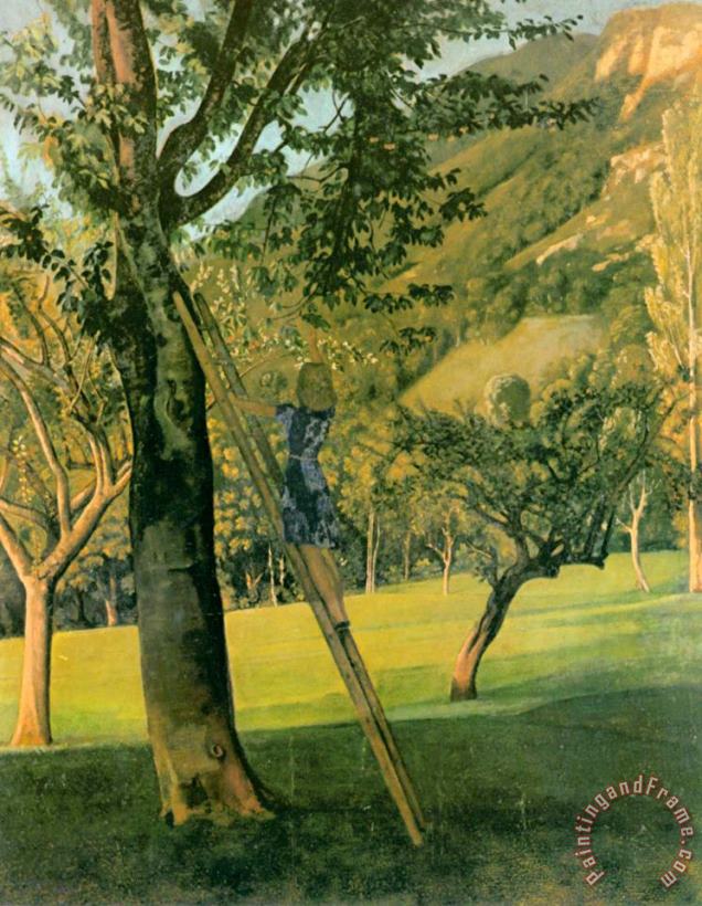 The Cherry Tree painting - Balthasar Klossowski De Rola Balthus The Cherry Tree Art Print