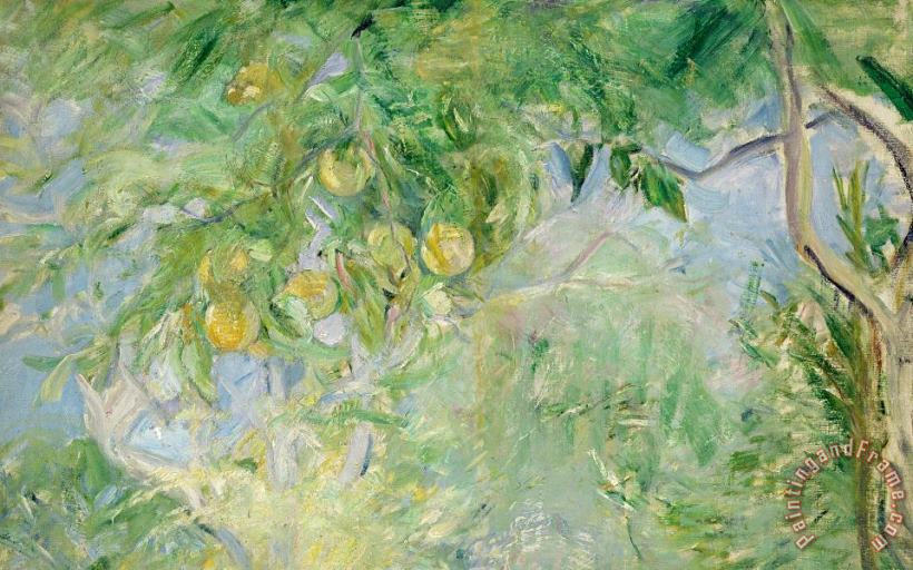 Orange Tree Branches painting - Berthe Morisot Orange Tree Branches Art Print