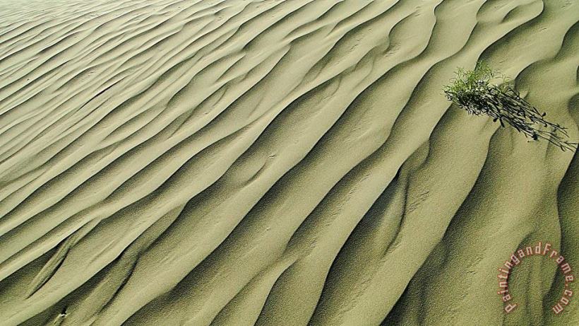 Sands of Time painting - Blair Wainman Sands of Time Art Print