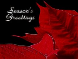 Blair Wainman Seasons Greetings