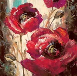 brent heighton Dramatic Poppy