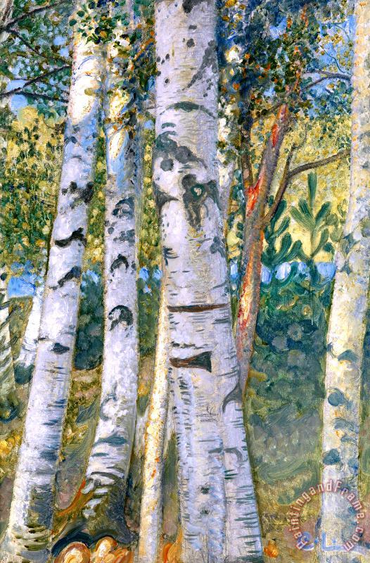 Birch Trees painting - Carl Larsson Birch Trees Art Print