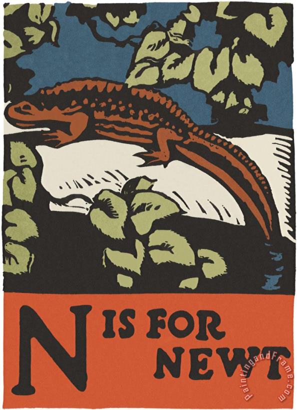 Alphabet: N Is for Newt painting - C.B. Falls Alphabet: N Is for Newt Art Print