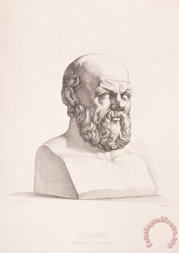 Portrait Of Socrates painting - CC Perkins Portrait Of Socrates Art Print