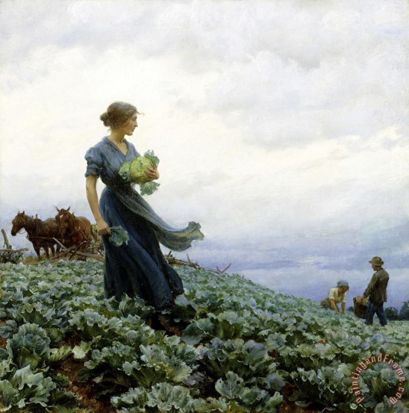 The Cabbage Field painting - Charles Courtney Curran The Cabbage Field Art Print
