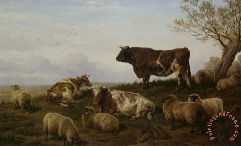 Charles Jones Cattle And Sheep Resting Art Painting