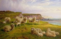 Charles Jones Sheep On A Dorset Coast