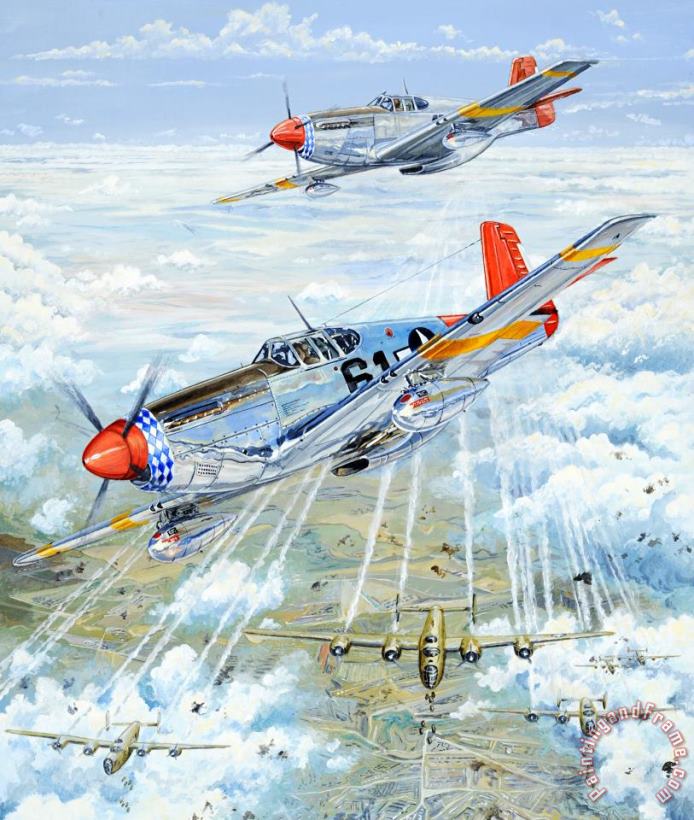 Red Tail 61 painting - Charles Taylor Red Tail 61 Art Print