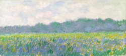 Claude Monet - Field of Yellow Irises at Giverny painting