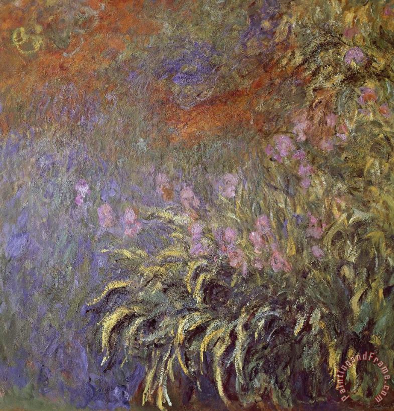 Claude Monet Iris In Pond Art Painting