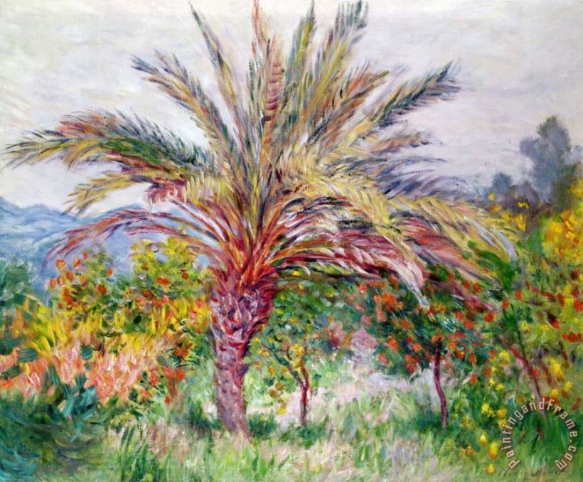 Claude Monet Palm Tree at Bordighera Art Print