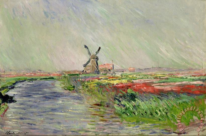 Claude Monet Tulip Field in Holland Art Print
