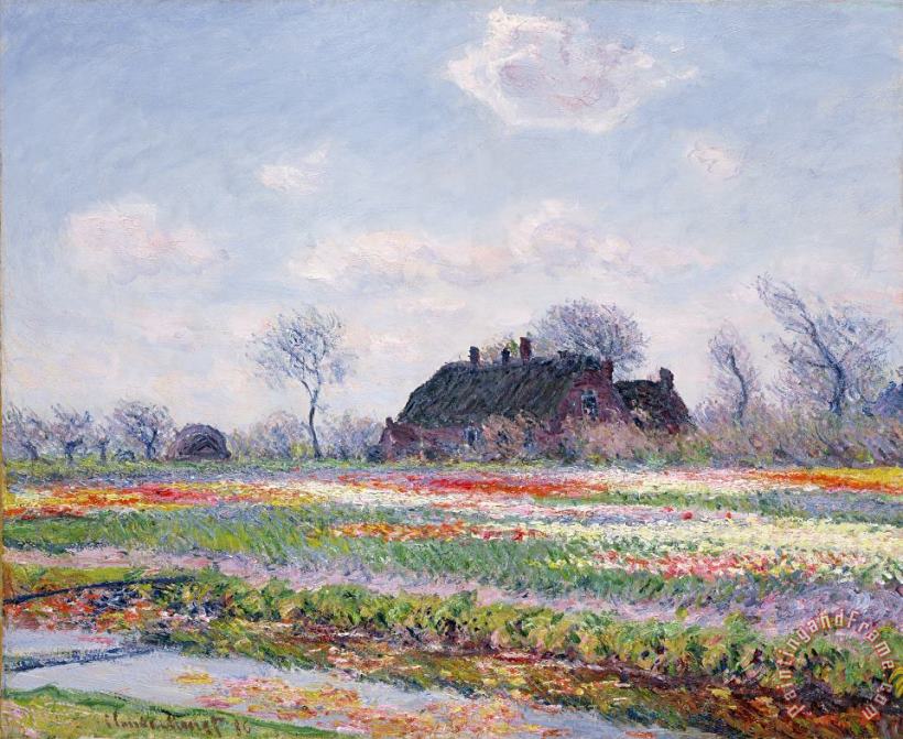 Claude Monet Tulip Fields at Sassenheim Art Painting