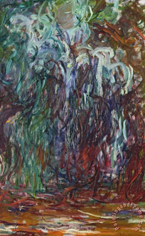 Weeping Willow painting - Claude Monet Weeping Willow Art Print