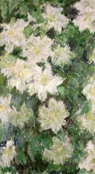 Claude Monet - White Clematis painting