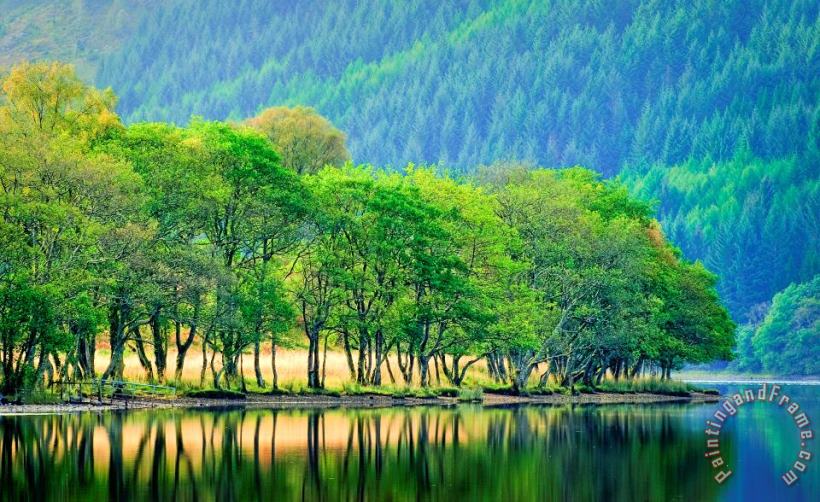 Collection Backlit waters edge on Loch Chon Trossachs Art Print