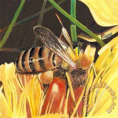 Bee Flower painting - Collection Bee Flower Art Print