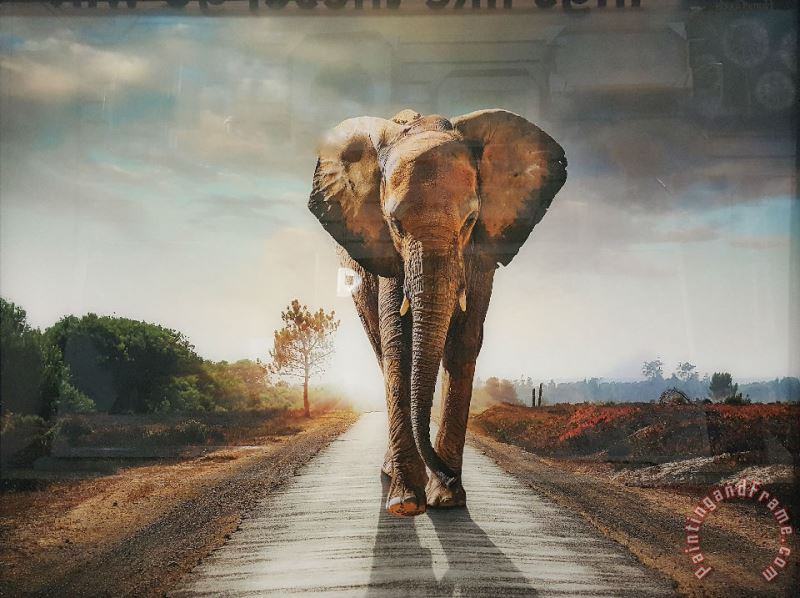 Elephant 18 painting - Collection Elephant 18 Art Print