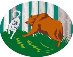 Collection 10 Wild Dog Wolf Fighting Grizzly Bear