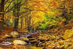 Collection 12 Autumn Landscape