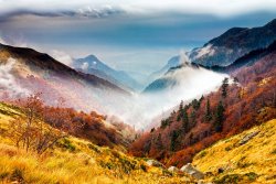 Collection 12 Central Balkan National Park