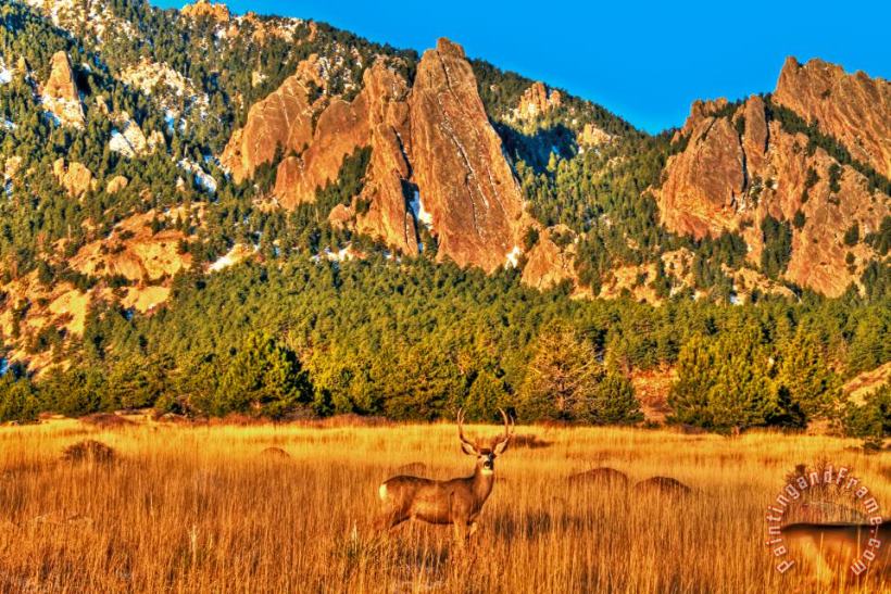 Collection 14 Buck and Flatirons Art Painting