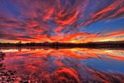 Collection 14 Ponds of Fiery