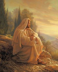 Collection 2 Alpha And Omega