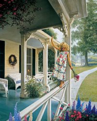 Collection 2 Delicate Balance