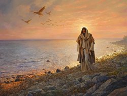 Collection 2 In The World Not Of The World