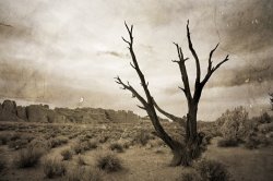 Collection 6 Come Closer and See