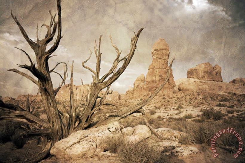 Desert Tree painting - Collection 6 Desert Tree Art Print