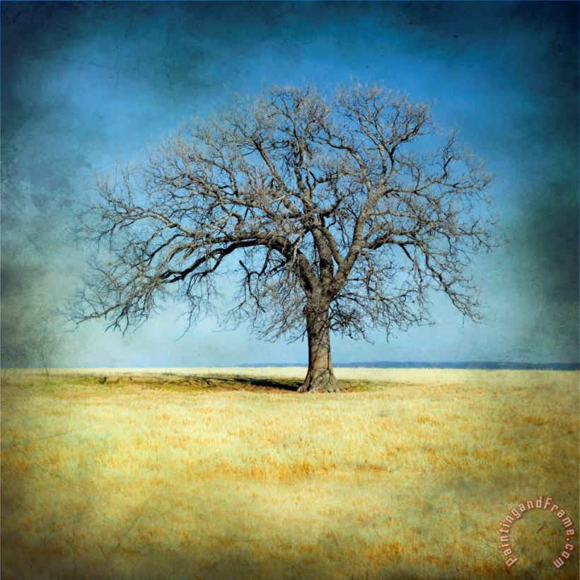 Lone Tree painting - Collection 6 Lone Tree Art Print