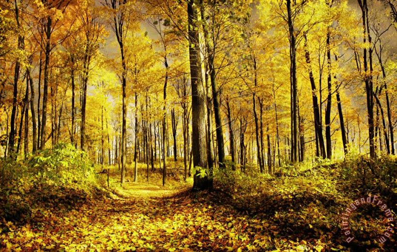 Collection 8 Autumn gold Art Painting