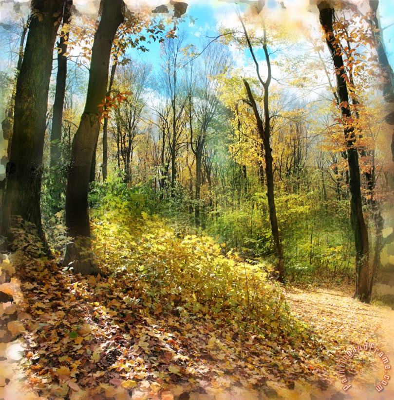 Collection 8 Autumn trail Art Print