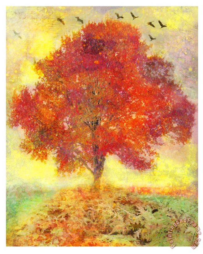 Collection 8 Autumn tree Art Print