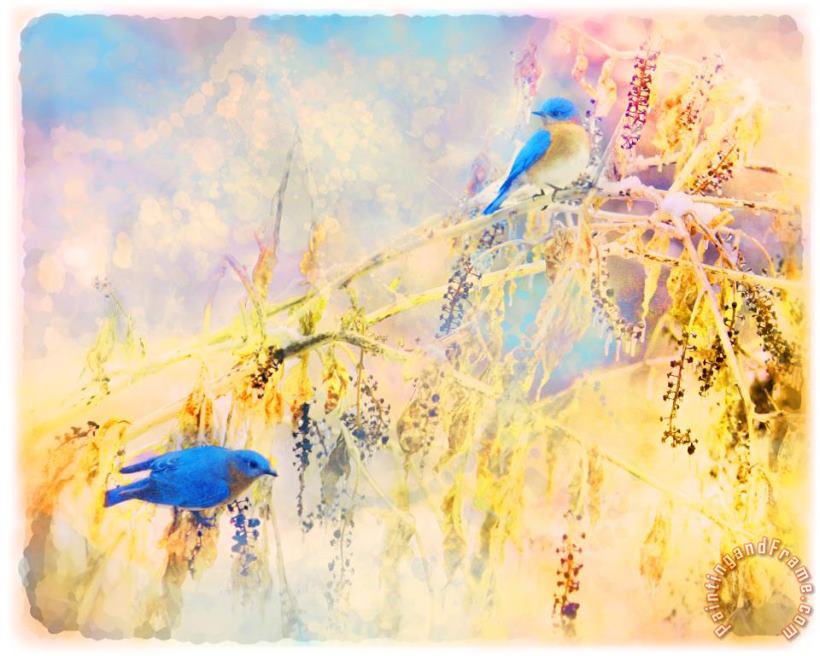 Bluebirds return painting - Collection 8 Bluebirds return Art Print