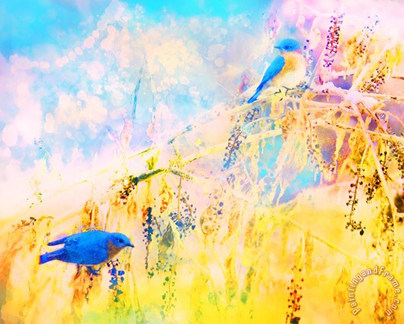 Collection 8 Bluebirds return Art Print