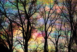 Collection 8 Cotton candy clouds