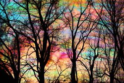 Collection 8 Cotton candy sunrise