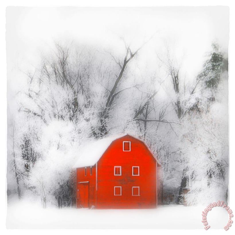 Collection 8 Country winter Art Print