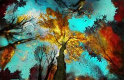 Collection 8 Evening celebration