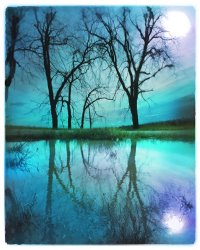 Collection 8 Night sky