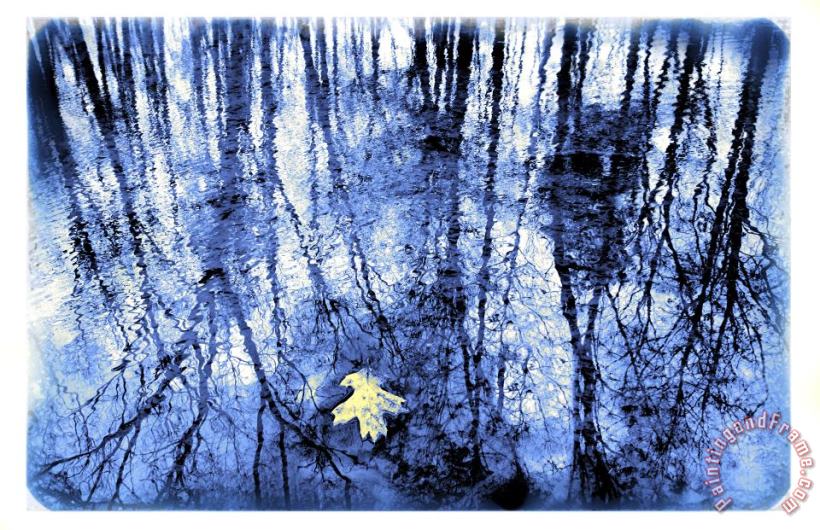 Collection 8 Reflection in blue Art Print