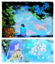 Collection 8 Scenes from the pond Sanctuary