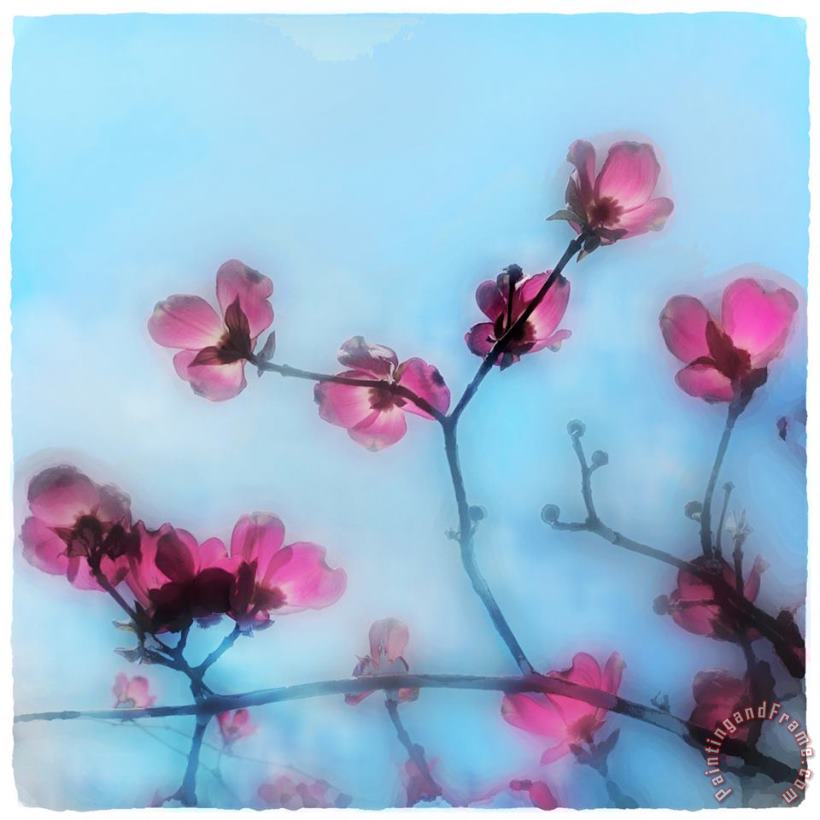 Spring blossom painting - Collection 8 Spring blossom Art Print