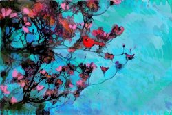 Collection 8 Spring blossoms