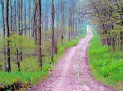 Collection 8 Spring green