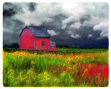 The red barn by Collection 8
