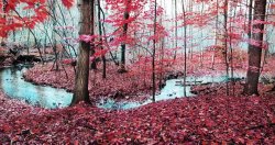 Collection 8 Winter on its way